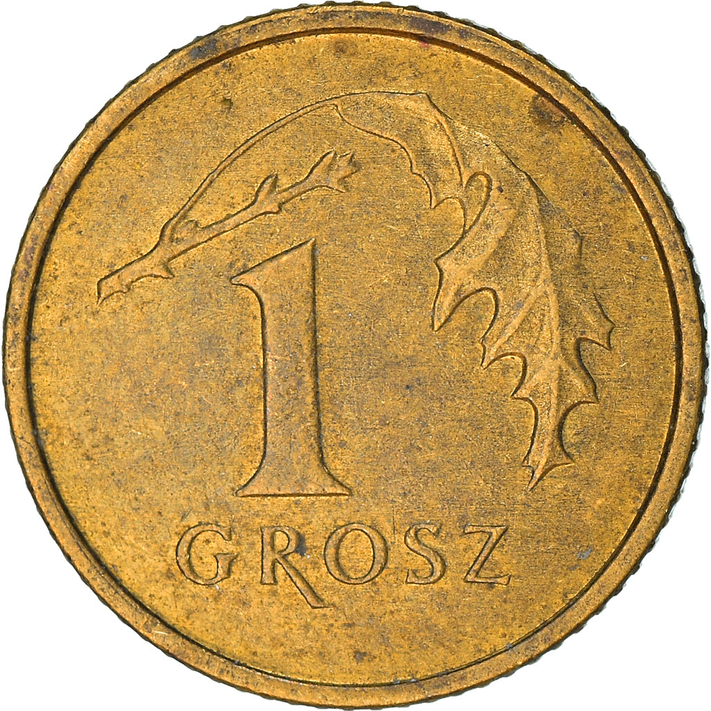 Moneta, Polonia, Grosz, 1995, Warsaw, BB, Ottone, KM:276