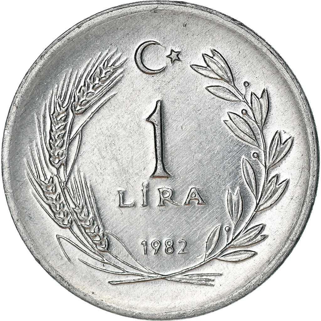 Moneta, Turchia, Lira, 1982, BB, Alluminio, KM:990