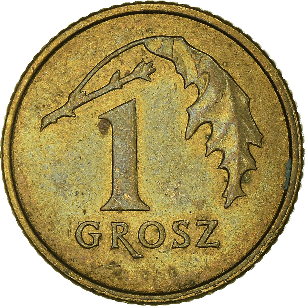 Münze, Polen, Grosz, 2013