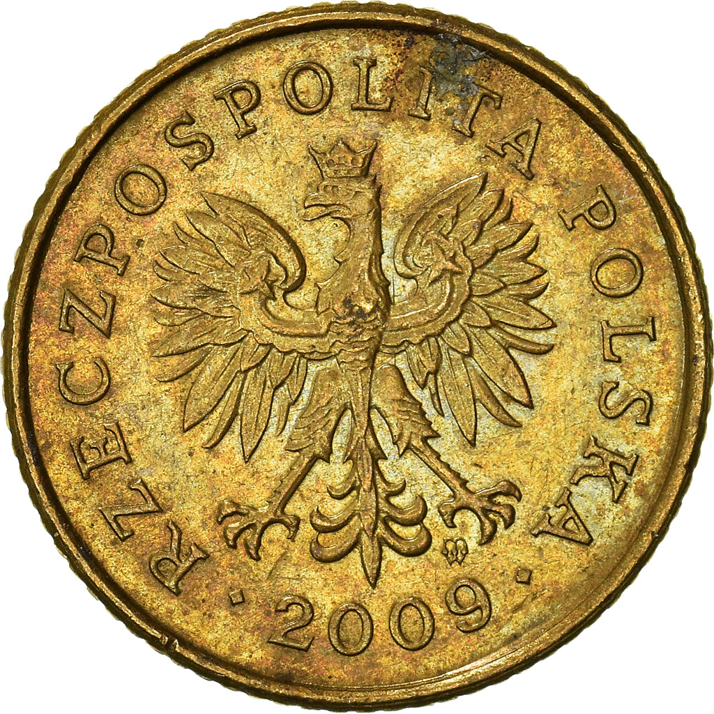 Moneta, Polonia, Grosz, 2009