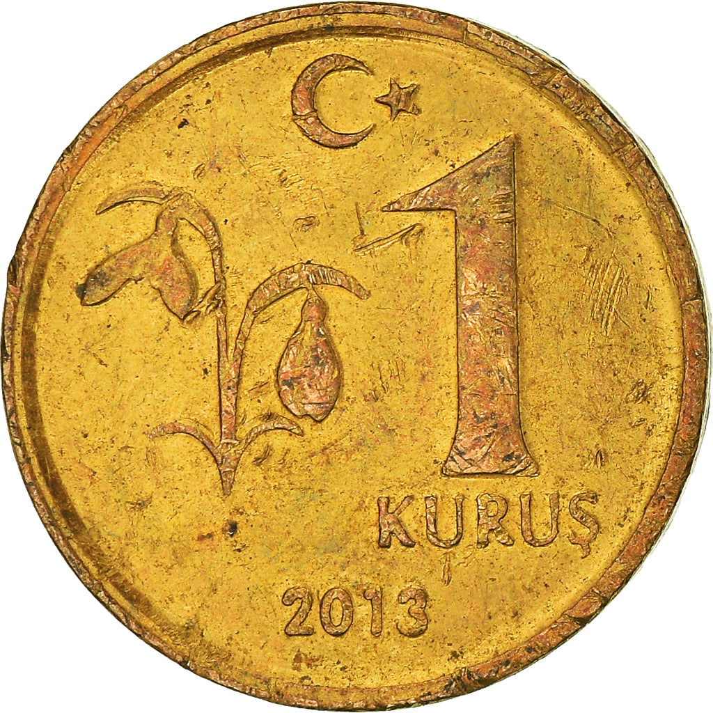Moneda, Turquía, Kurus, 2013