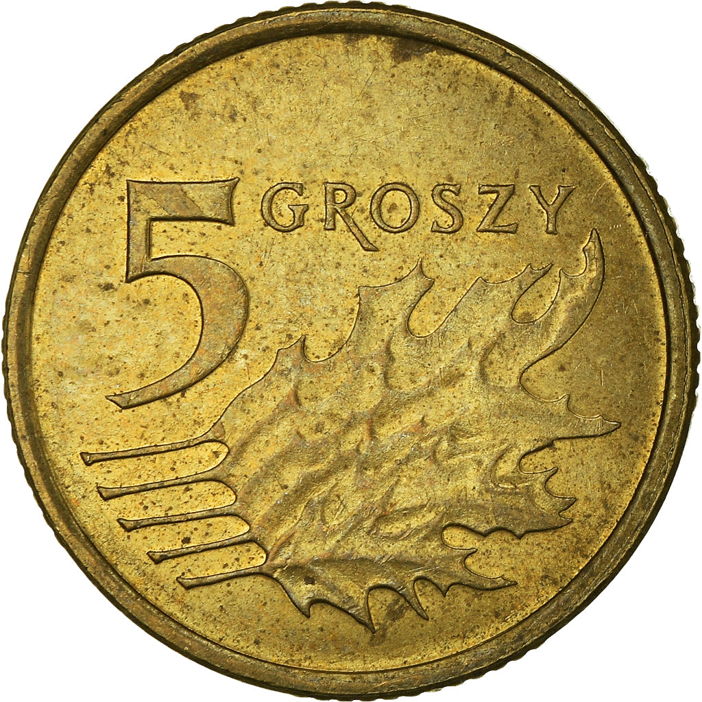 Moneta, Polonia, 5 Groszy, 2013