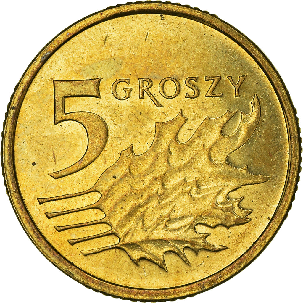 Monnaie, Pologne, 5 Groszy, 2013
