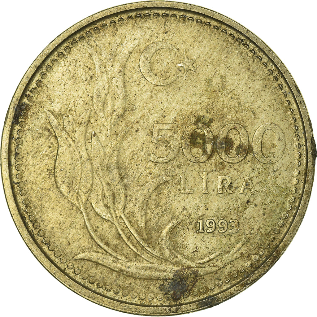 Moneta, Turchia, 5000 Lira, 1993