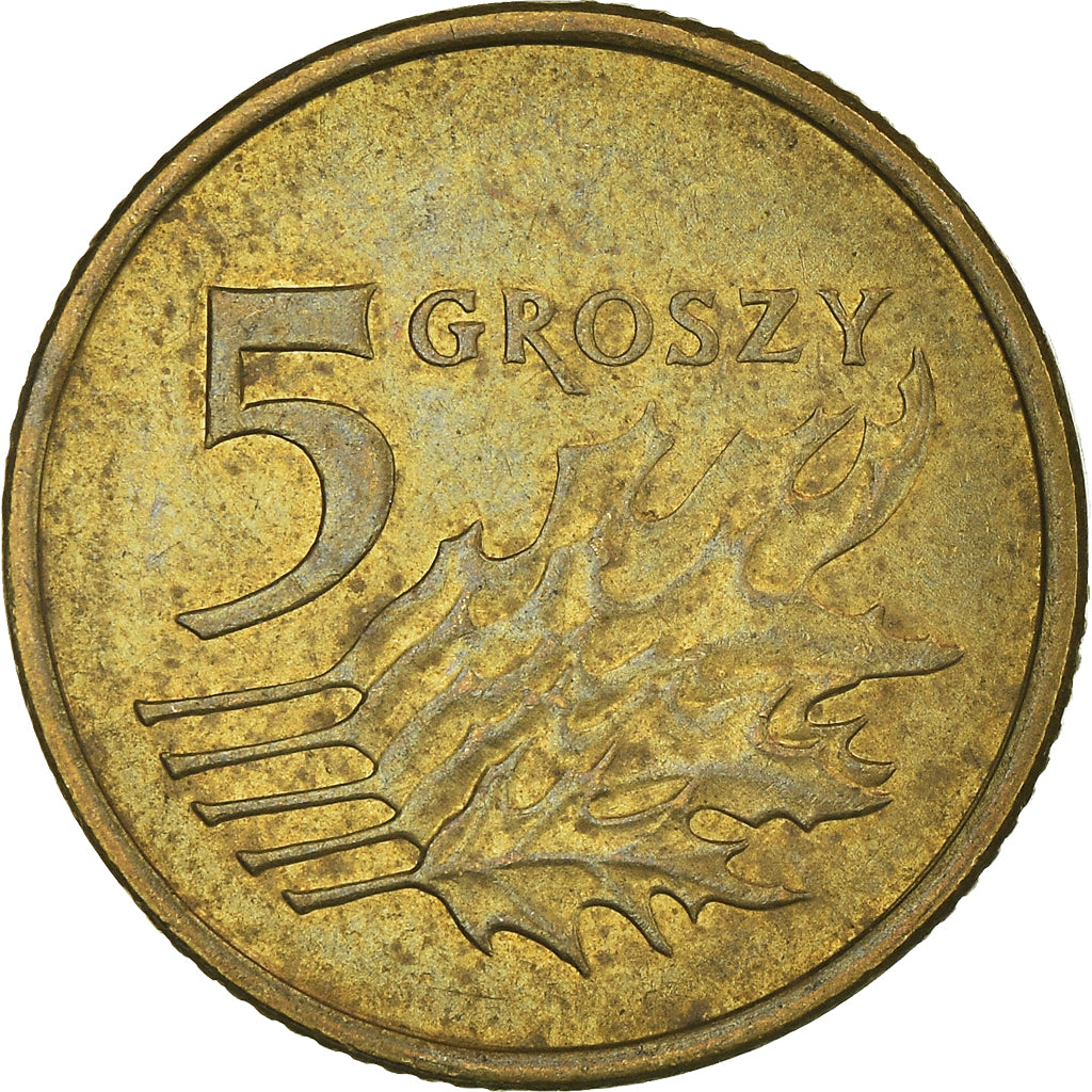 Monnaie, Pologne, 5 Groszy, 2009
