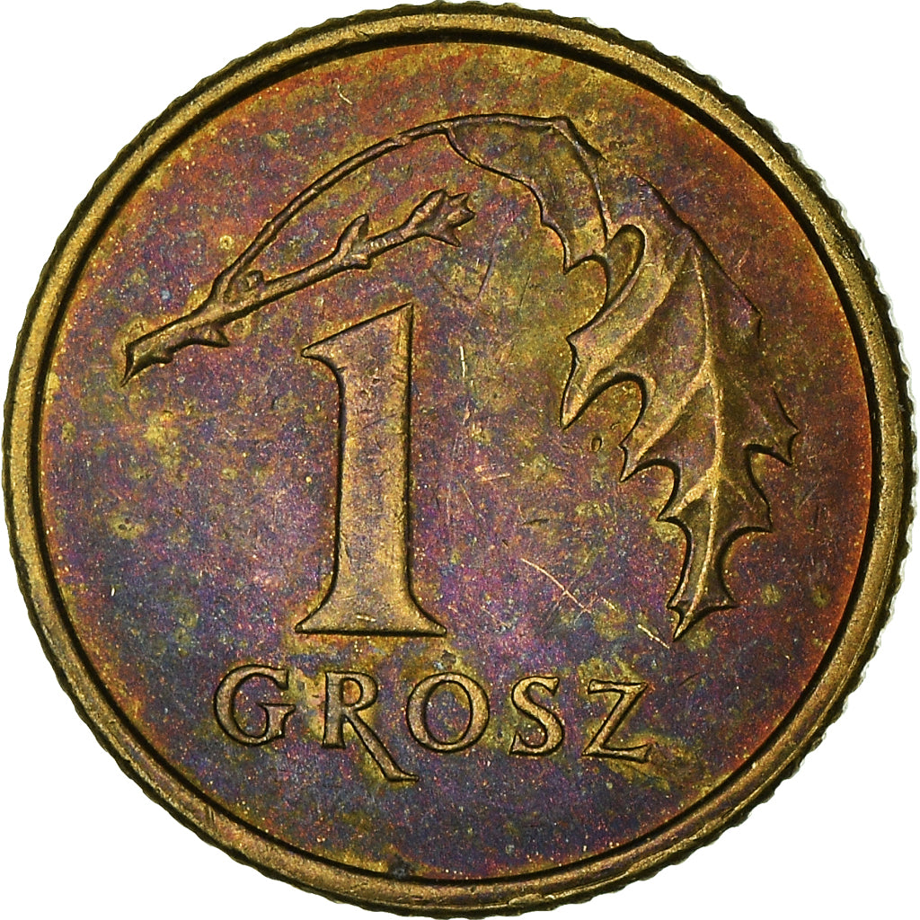 Monnaie, Pologne, Grosz, 2009