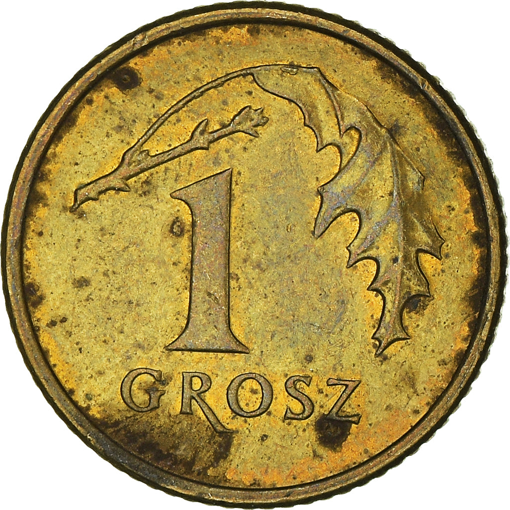 Monnaie, Pologne, Grosz, 2008