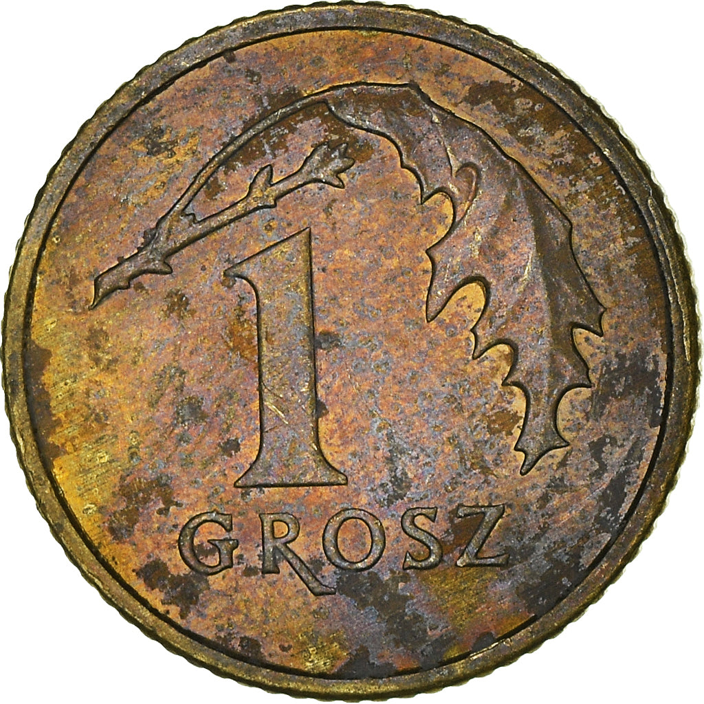 Coin, Poland, Grosz, 2013