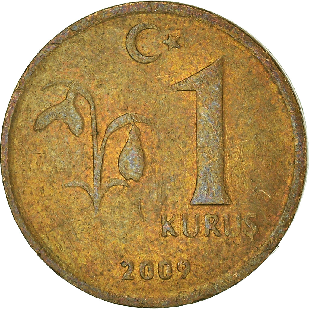 Coin, Turkey, Kurus, 2009