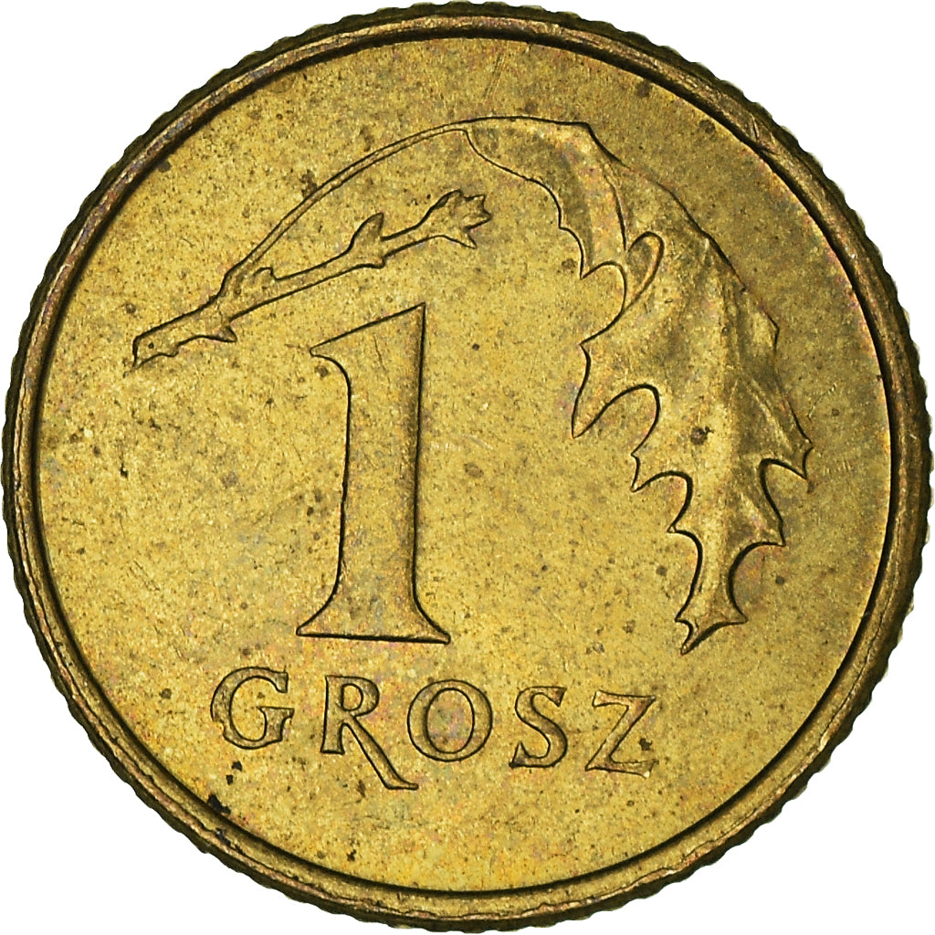 Münze, Polen, Grosz, 2009