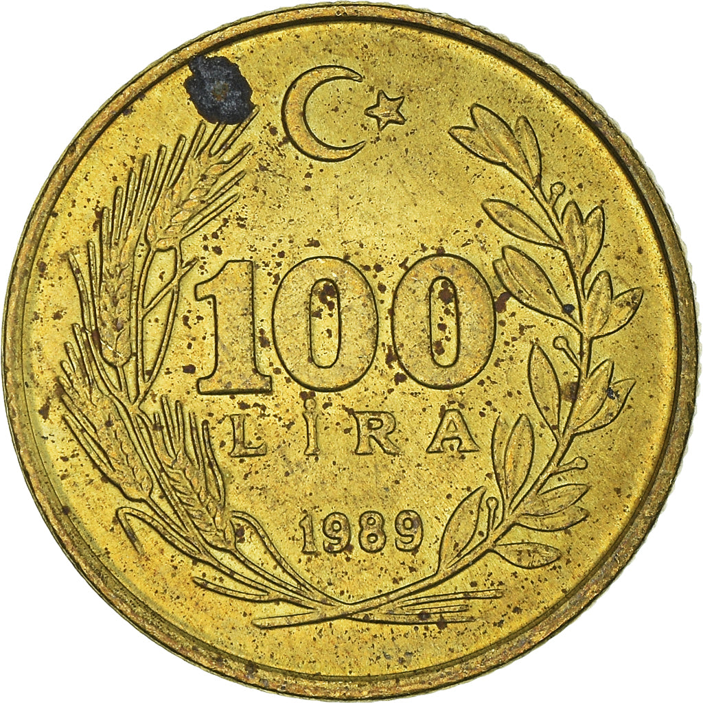 Moneta, Turchia, 100 Lira, 1989