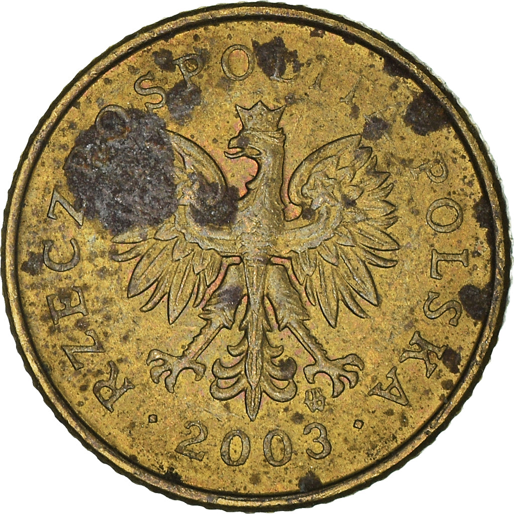 Moneta, Polonia, Grosz, 2003