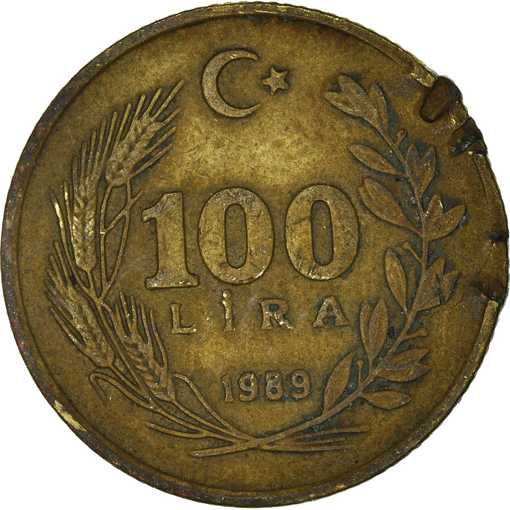 Moneta, Turchia, 100 Lira, 1989