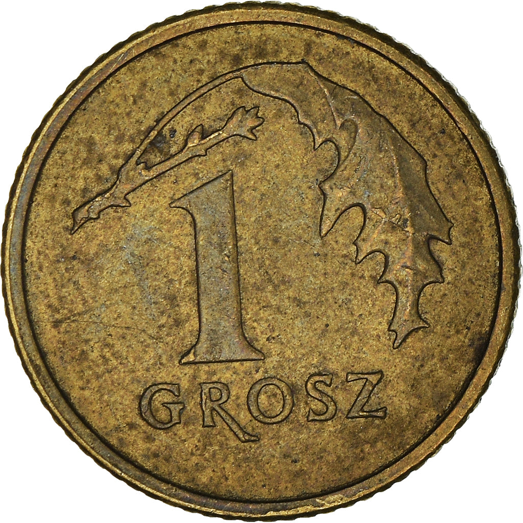 Moneta, Polonia, Grosz, 2013