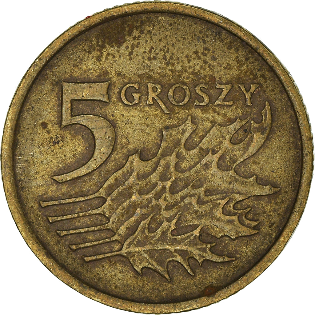 Moneta, Polonia, 5 Groszy, 1991
