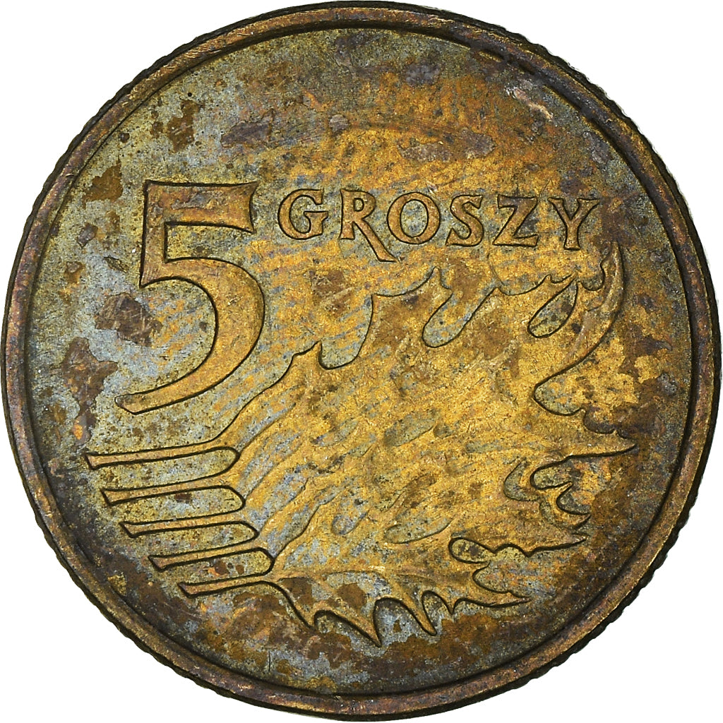 Münze, Polen, 5 Groszy, 2011