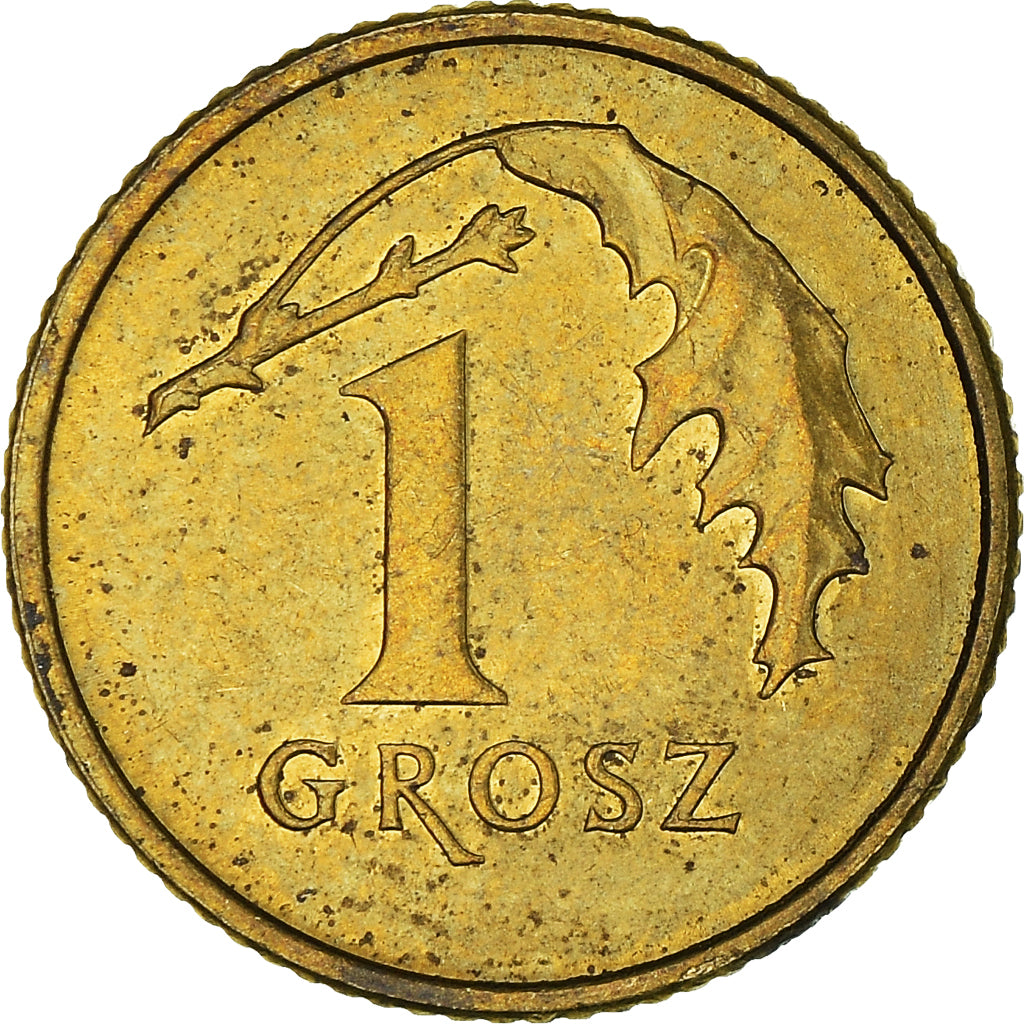 Moneta, Polonia, Grosz, 2013