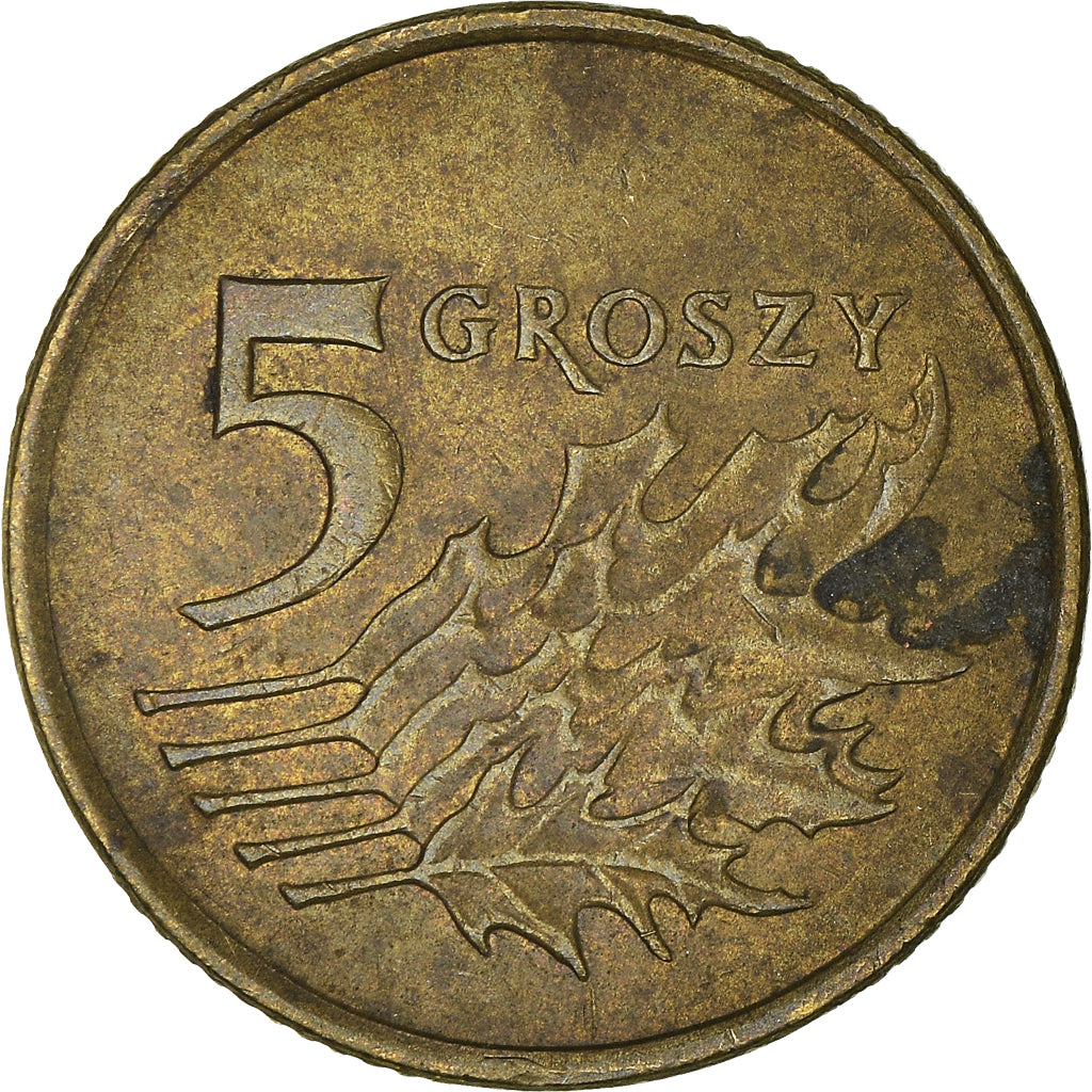 Münze, Polen, 5 Groszy, 1992