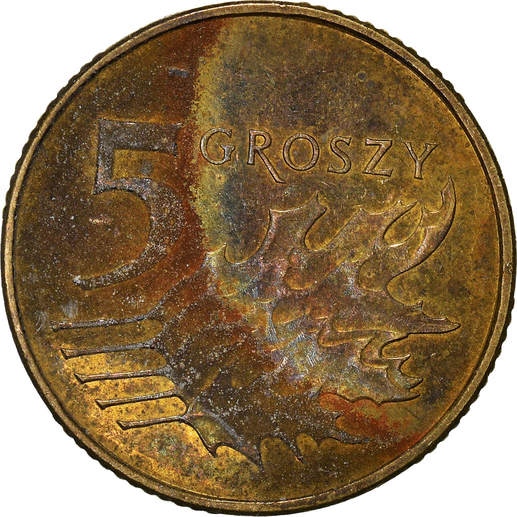 Moeda, Polónia, 5 Groszy, 2011
