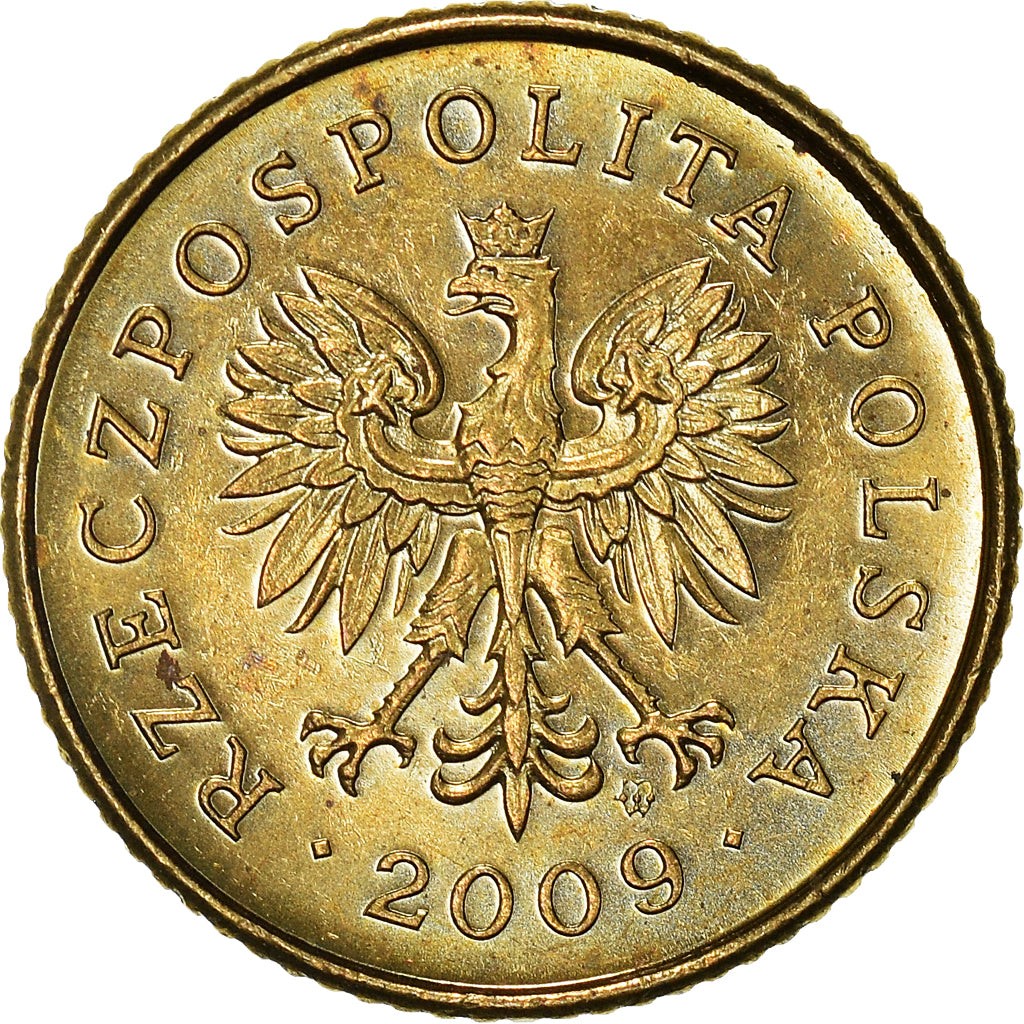Moneta, Polonia, Grosz, 2009