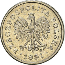 Moneta, Polonia, 10 Groszy, 1991