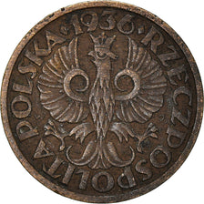 Coin, Poland, Grosz, 1936