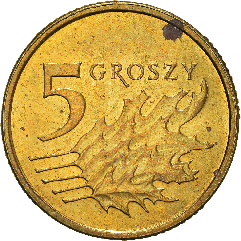 Moneta, Polonia, 5 Groszy, 2013