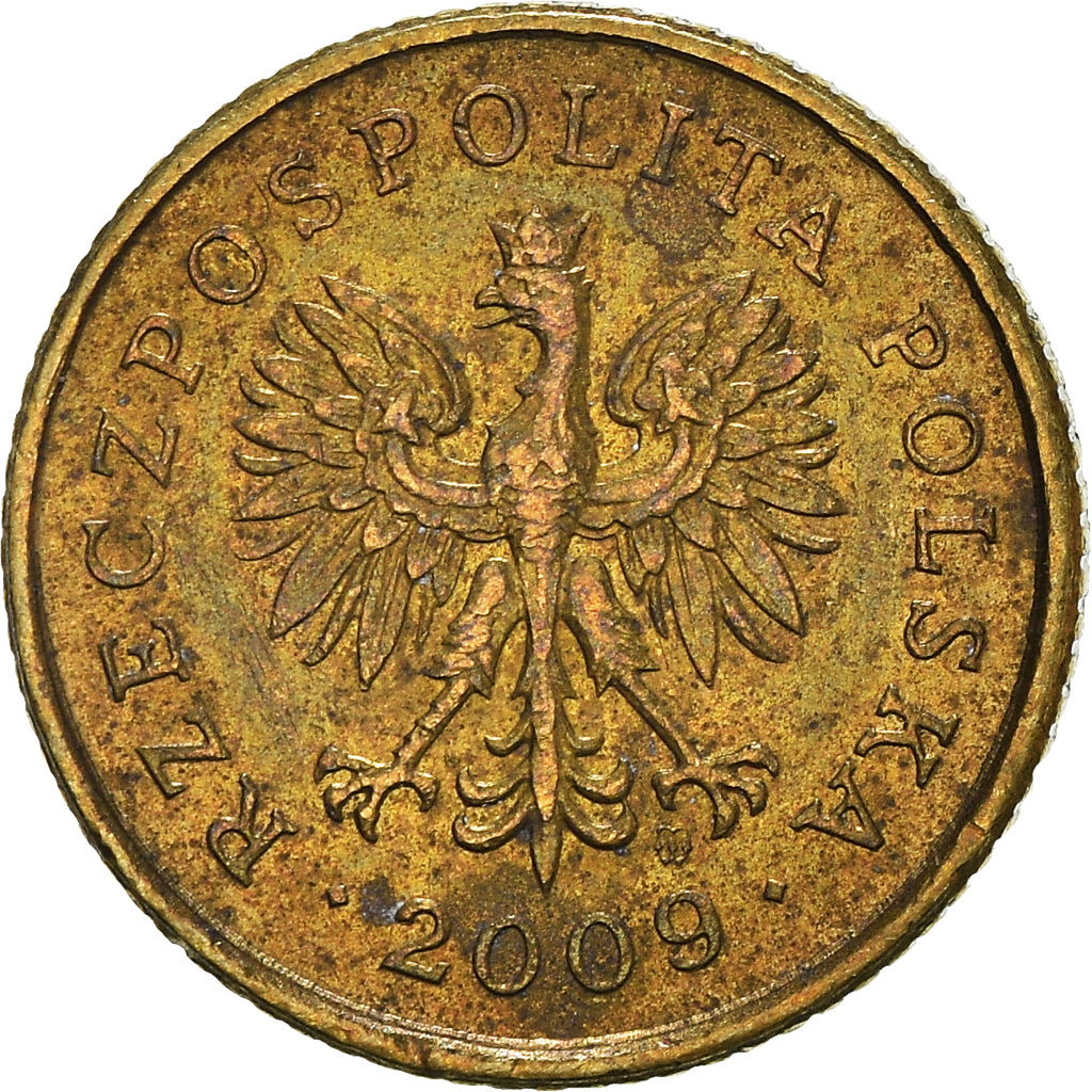 Münze, Polen, Grosz, 2009