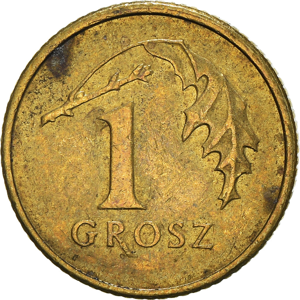 Münze, Polen, Grosz, 2009