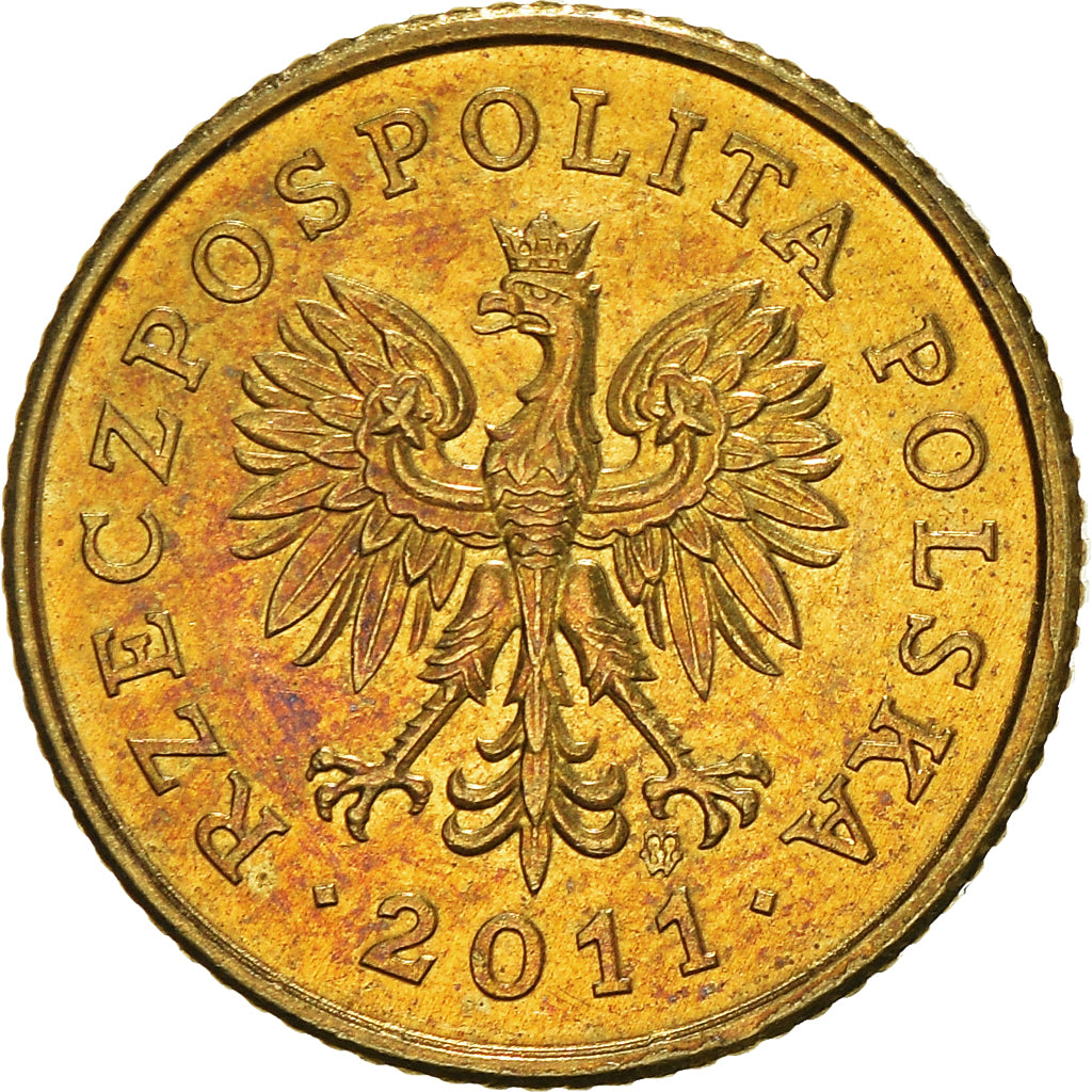 Moneta, Polonia, Grosz, 2011
