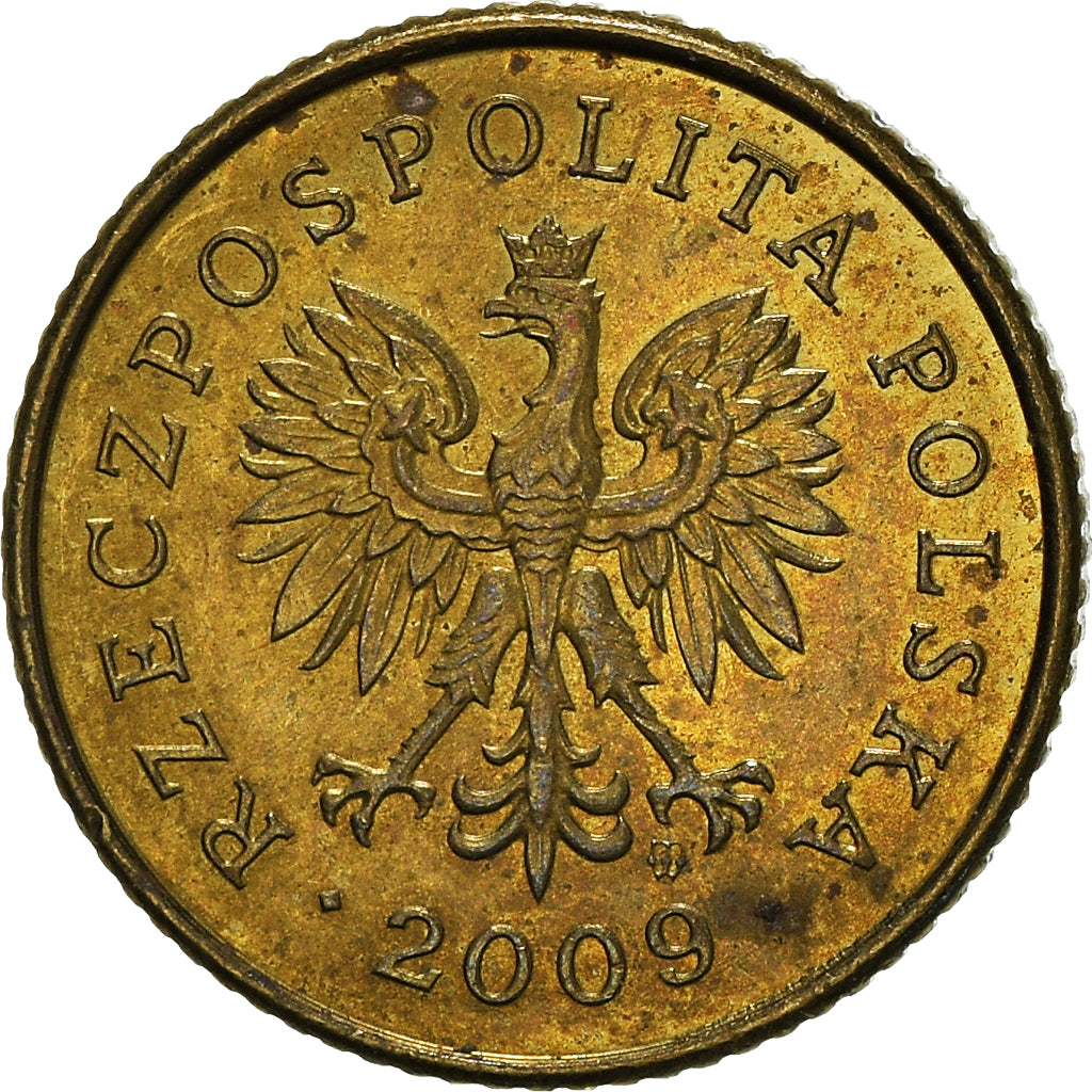 Moneta, Polonia, Grosz, 2009