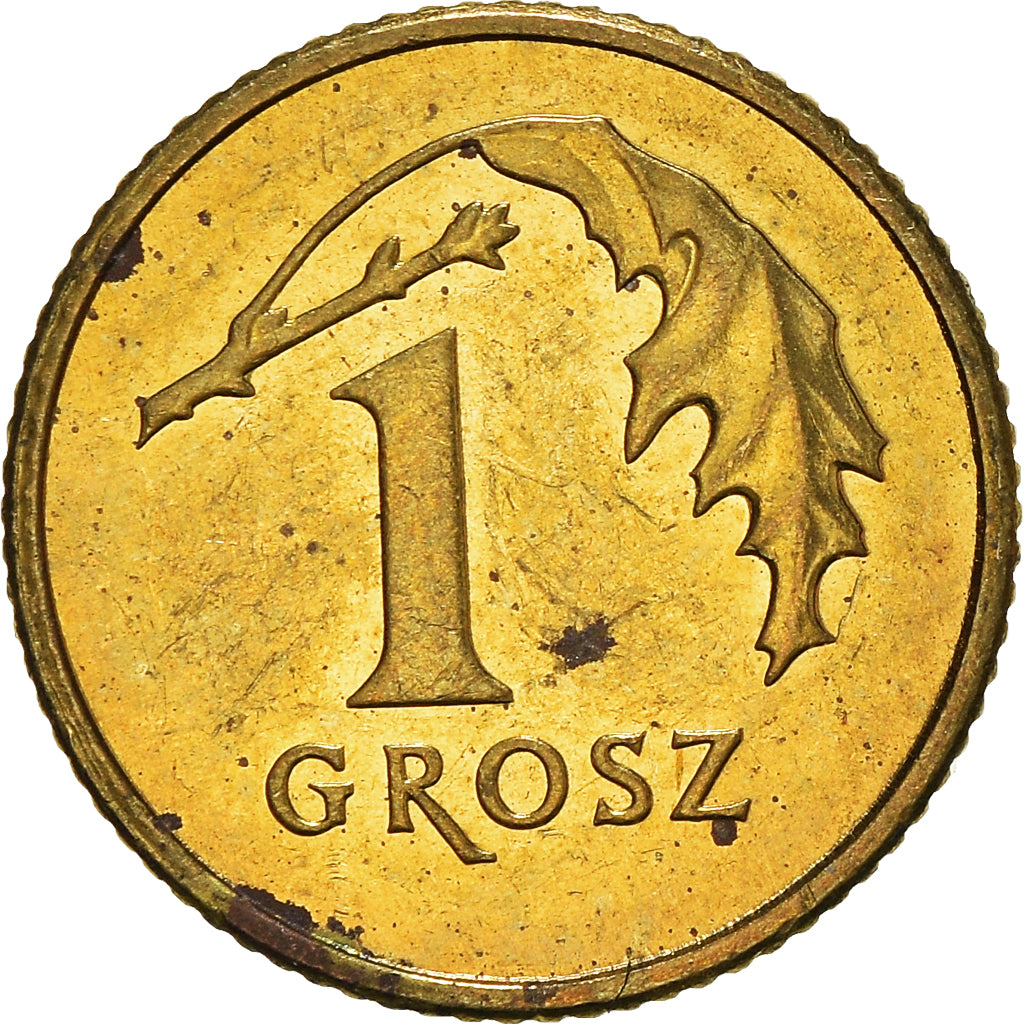 Moneta, Polonia, Grosz, 2013