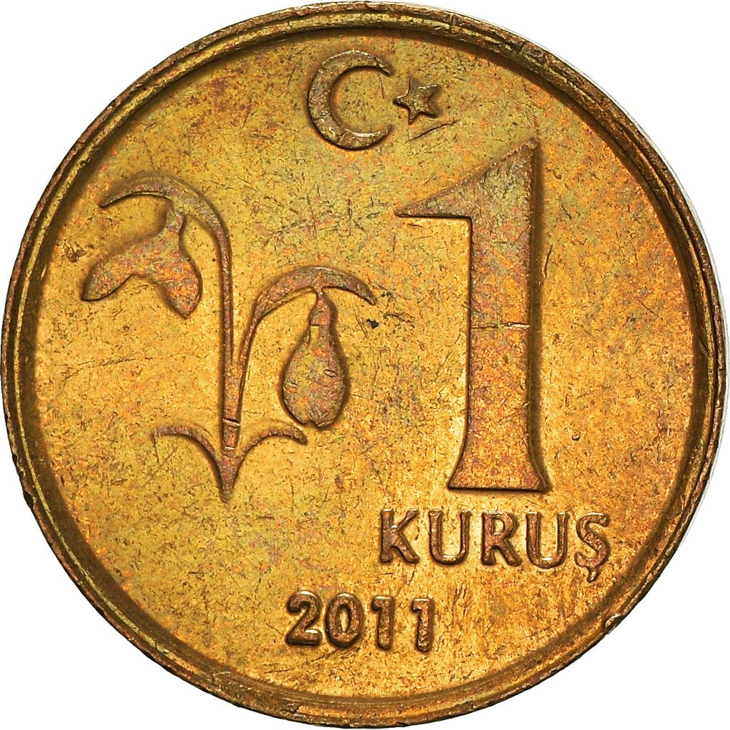 Munten, Turkije, Kurus, 2011