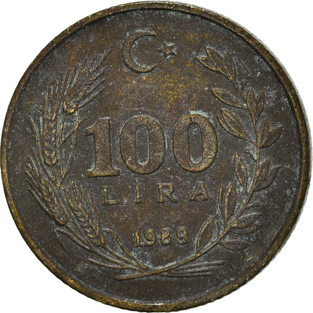Munten, Turkije, 100 Lira, 1989
