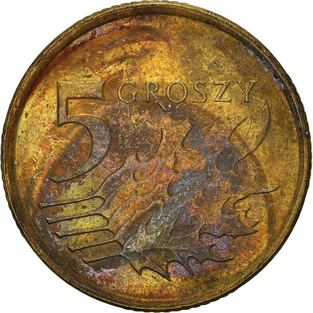 Moneta, Polonia, 5 Groszy, 2013