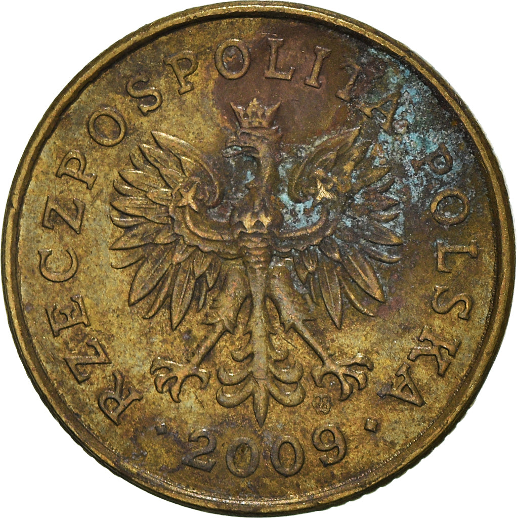Moneta, Polonia, 5 Groszy, 2009