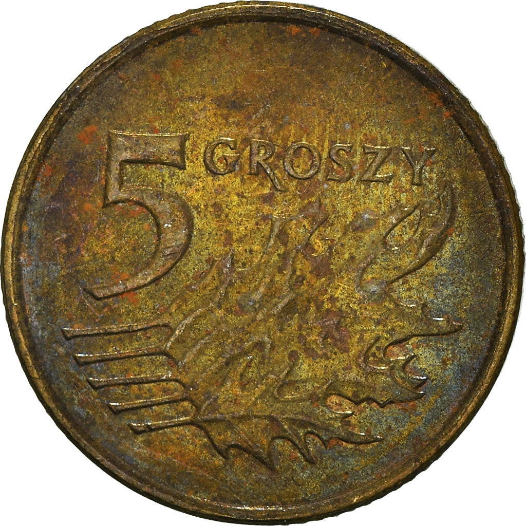 Coin, Poland, 5 Groszy, 2009