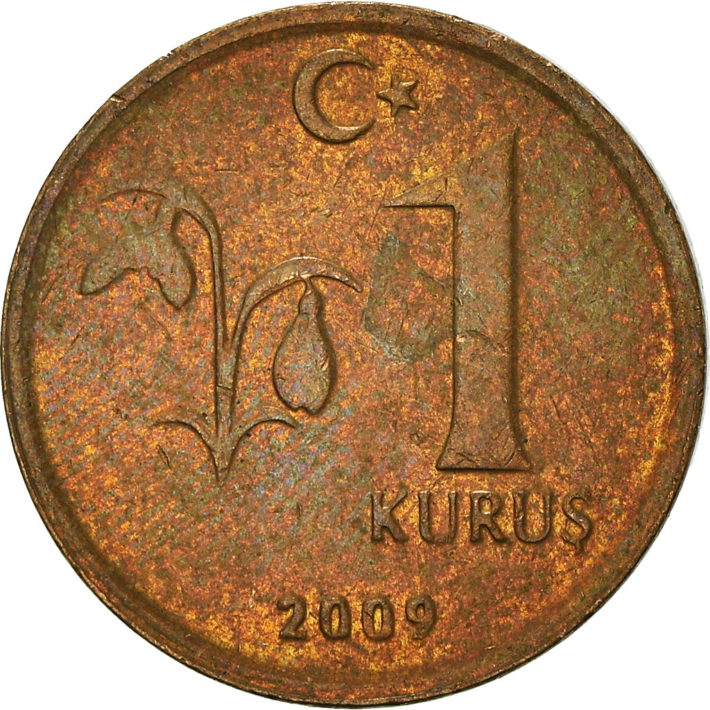 Munten, Turkije, Kurus, 2009