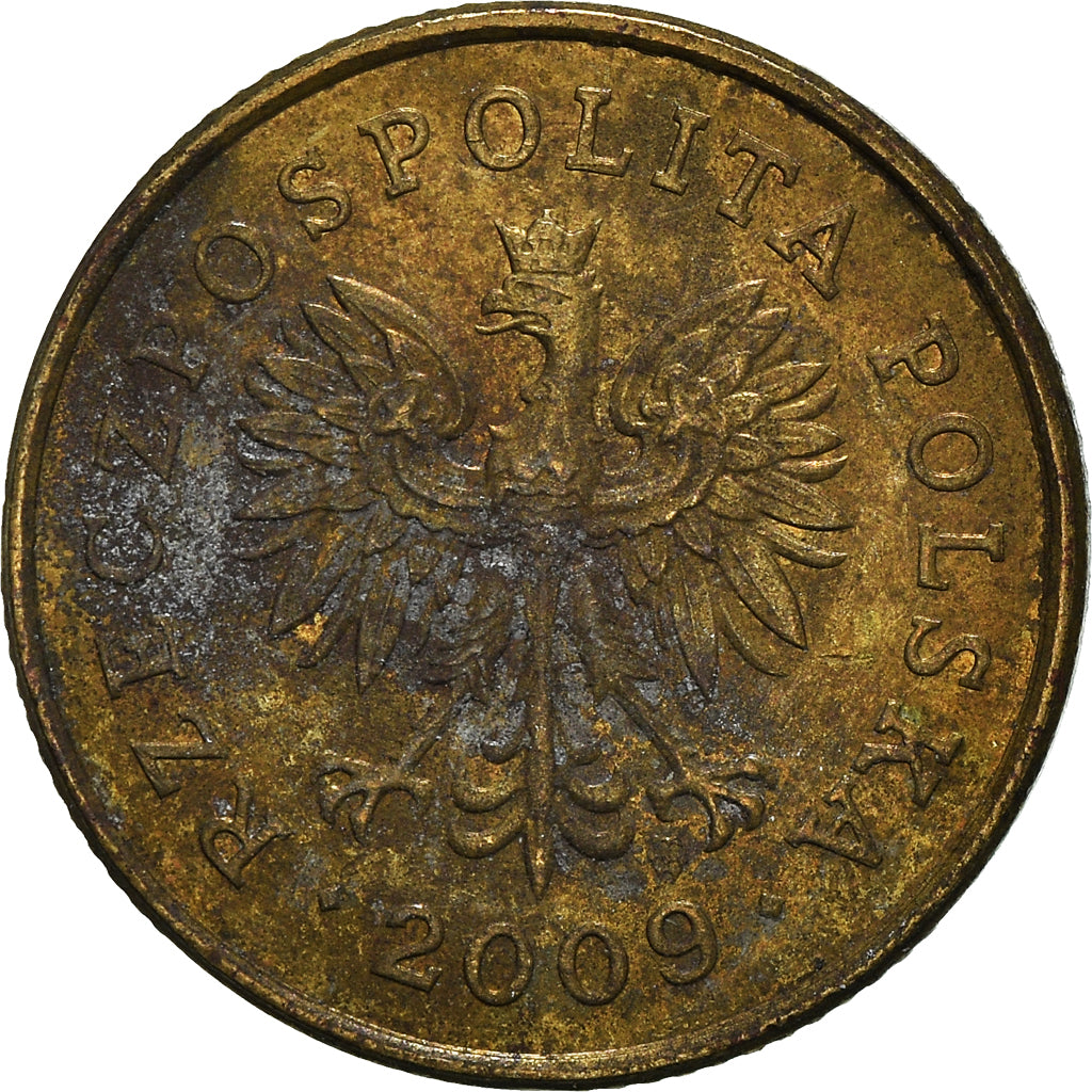 Monnaie, Pologne, 5 Groszy, 2009