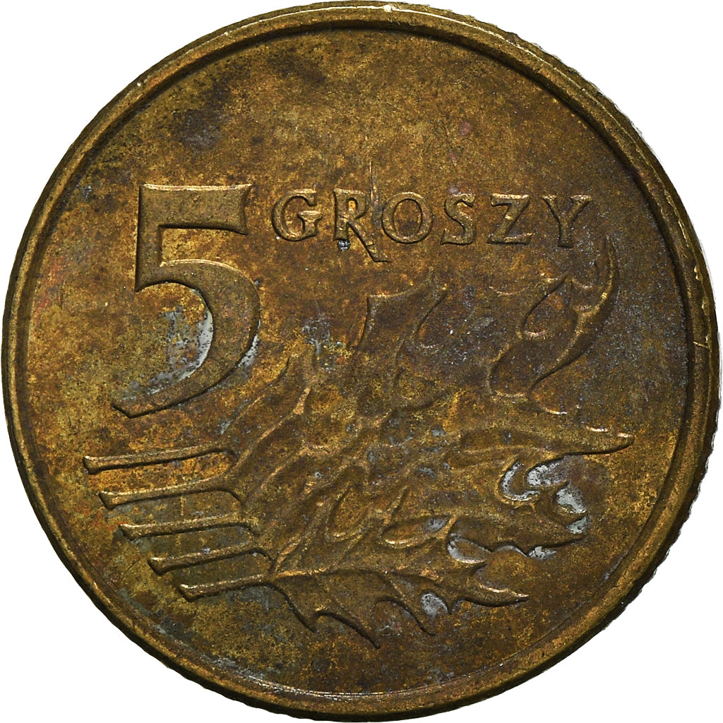 Monnaie, Pologne, 5 Groszy, 2009