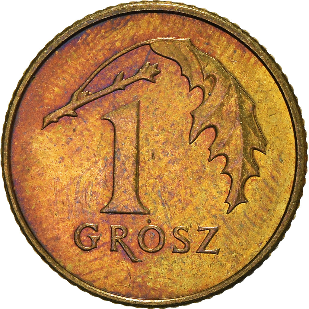 Monnaie, Pologne, Grosz, 2011