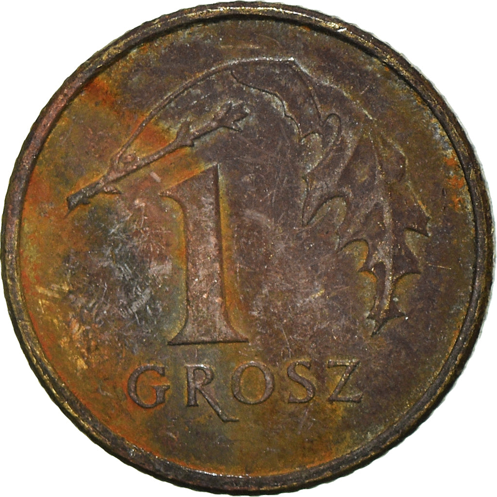 Coin, Poland, Grosz, 2009