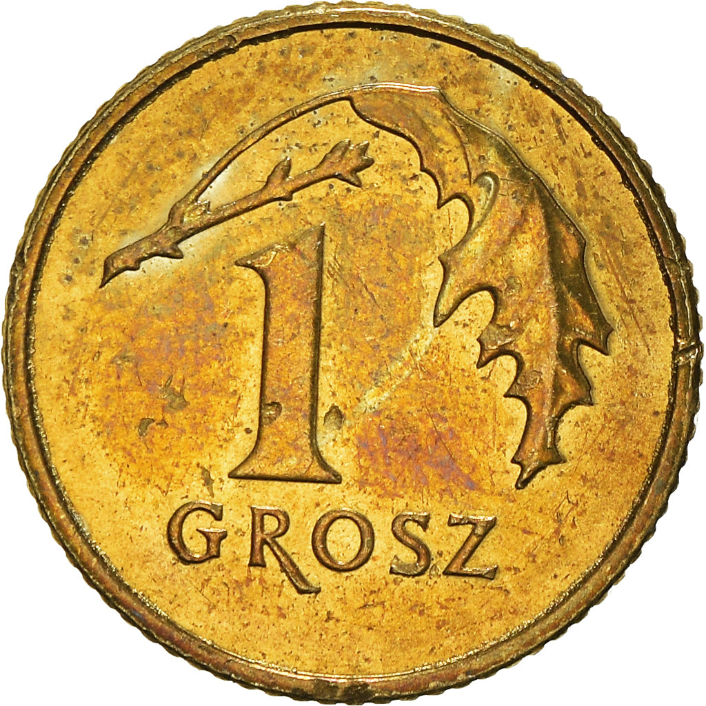Coin, Poland, Grosz, 2012