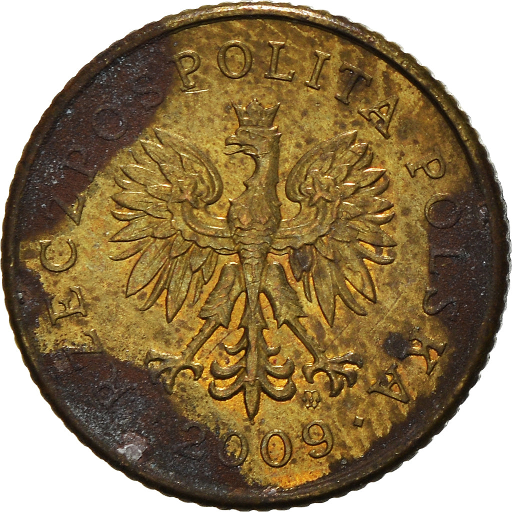 Moneta, Polonia, Grosz, 2009