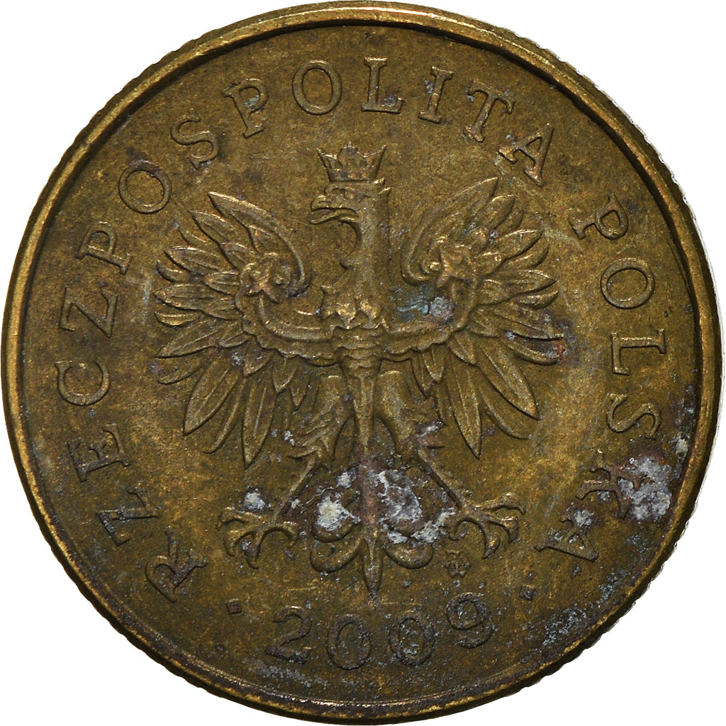 Coin, Poland, 5 Groszy, 2009
