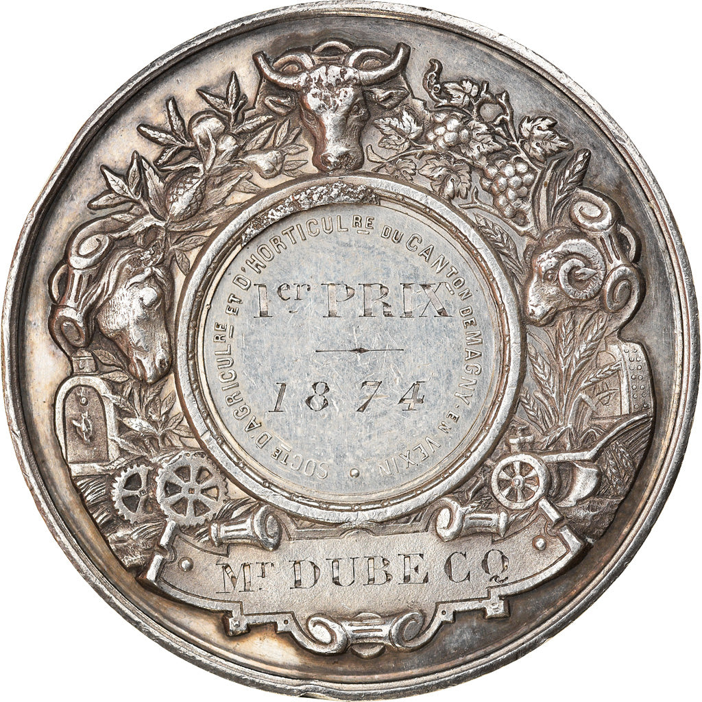 France, Médaille, Société d'Agriculture de Magny-en-Vexin, 1874, SUP, Argent
