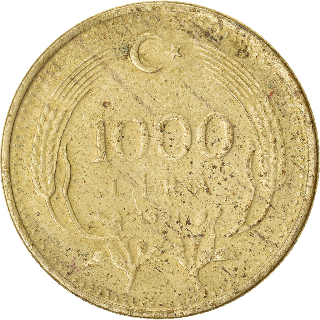 Coin, Turkey, 1000 Lira, 1991
