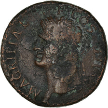 Monnaie, Agrippa, As, 37-41, Rome, TB, Bronze, RIC:58