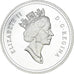 Moneda, Canadá, Elizabeth II, Dollar, 1996, Royal Canadian Mint, Ottawa, Proof