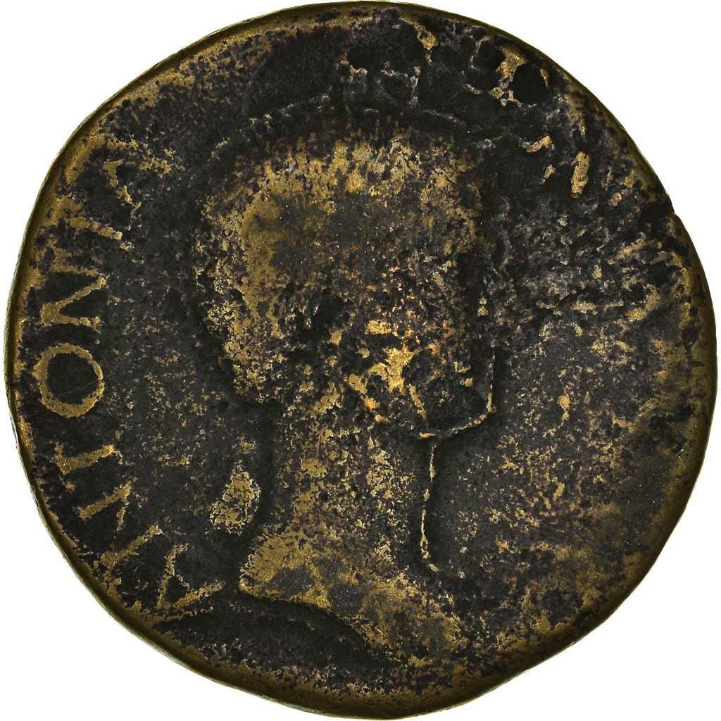 Coin, Antonia, Dupondius, Rome, VF(20-25), Bronze, RIC:104